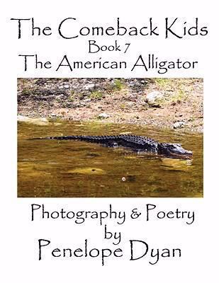 The Comeback Kids, Book 7, The American Alligator 1935118048 Book Cover