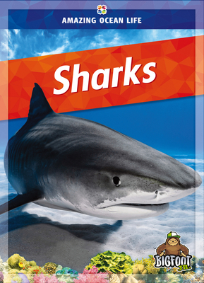 Sharks 164519566X Book Cover