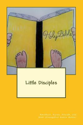 Little Disciples 1542655676 Book Cover