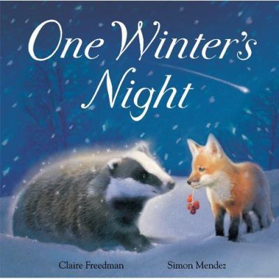 One Winter's Night 1848950136 Book Cover
