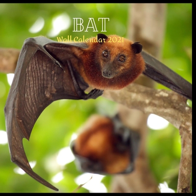 Bat Wall Calendar 2021: Great gifts ideas for teacher and for special holidays ( Christmas, Halloween and Thanksgiving) birthdays party Birthdays