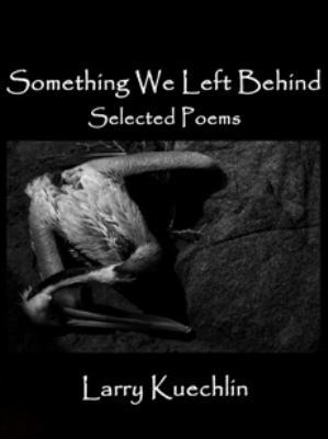 Paperback Something Still Visible in the Fire : Selected Poems Book