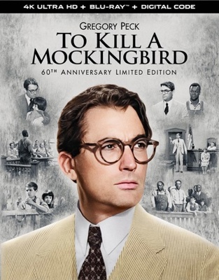To Kill a Mockingbird            Book Cover
