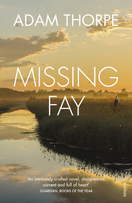 Missing Fay 0099584123 Book Cover