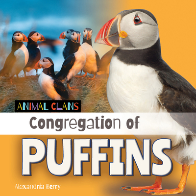 Congregation of Puffins 1668981599 Book Cover