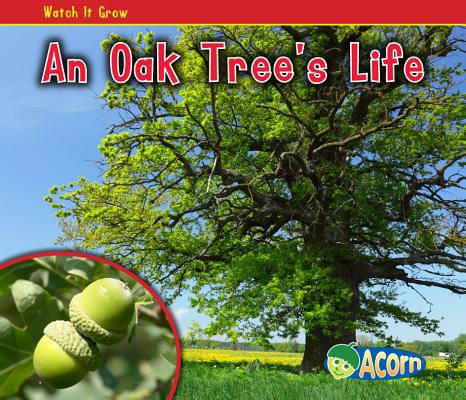 An Oak Tree's Life 1432941526 Book Cover