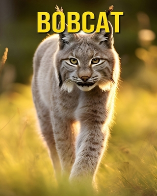 Bobcat: Fun and Amazing Pictures About Bobcat            Book Cover