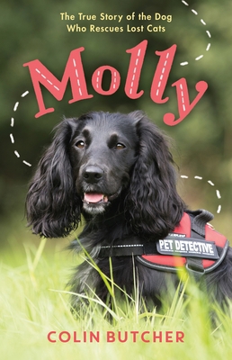 Molly: The True Story of the Dog Who Rescues Lo... 1250207053 Book Cover