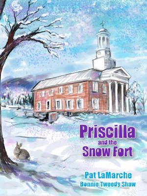 Priscilla and the Snow Fort 1735631728 Book Cover