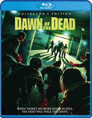 Dawn of the Dead            Book Cover