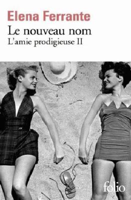 Le nouveau nom : L'amie prodigieuse II (French ... [French] 2072693144 Book Cover