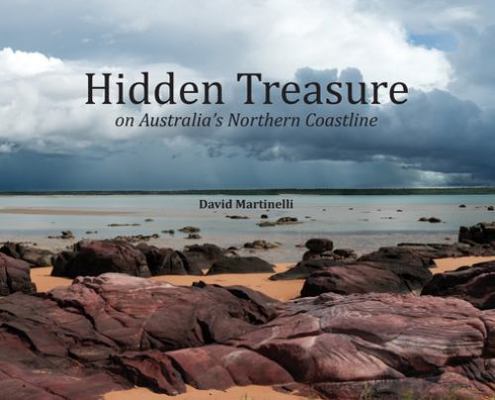 Hidden Treasure 0994312547 Book Cover