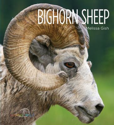 Bighorn Sheep 1628321652 Book Cover
