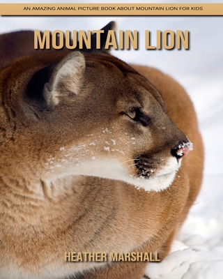 Mountain Lion: An Amazing Animal Picture Book about Mountain Lion for Kids B08JB3KJ3W Book Cover