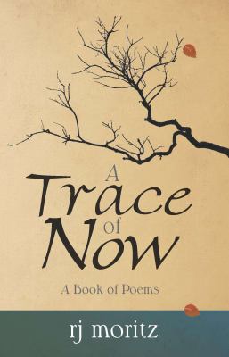 Paperback A Trace of Now Book