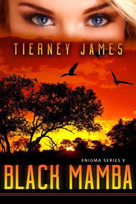 Black Mamba (Enigma Series) 1945669632 Book Cover