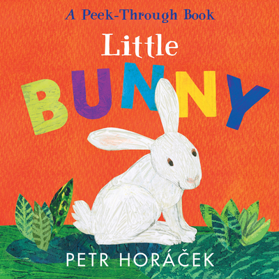 Little Bunny 1536238856 Book Cover