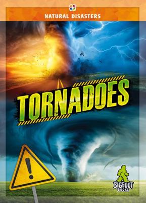 Tornadoes 1645197433 Book Cover