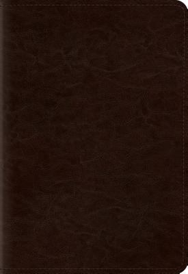 Pocket New Testament with Psalms and Proverbs-ESV 1433541459 Book Cover