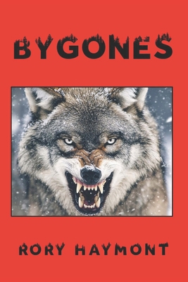 Bygones 1764139364 Book Cover