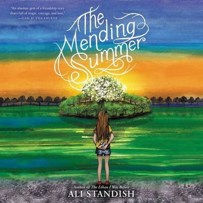 The Mending Summer 1665078367 Book Cover