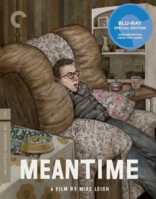 Meantime            Book Cover