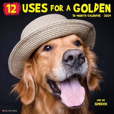 12 Uses for a Golden 2024 12 X 12 Wall Calendar 1549231928 Book Cover