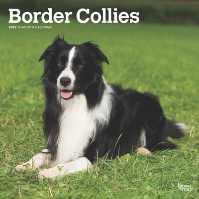 Border Collies 2025 12 X 24 Inch Monthly Square... 1975476689 Book Cover