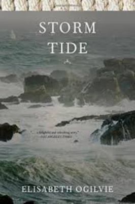 Storm Tide [Large Print] 0783888007 Book Cover