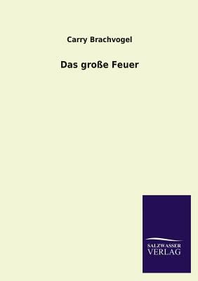 Das Grosse Feuer [German] 3846023620 Book Cover