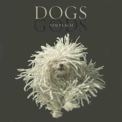 Dogs Gods 0810997649 Book Cover