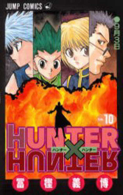 Hunter X Hunter 10 [Japanese] 4088730216 Book Cover
