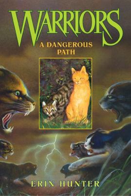 A Dangerous Path 0060525657 Book Cover