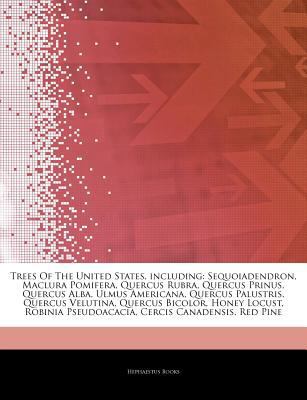 Paperback Trees of the United States, Including : Sequoiadendron, Maclura Pomifera, Quercus Rubra, Quercus Prinus, Quercus Alba, Ulmus Americana, Quercus Palustr Book