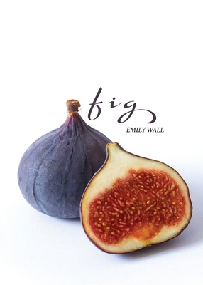 Fig 1950811190 Book Cover