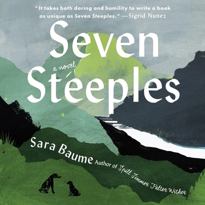 Seven Steeples 0358622247 Book Cover