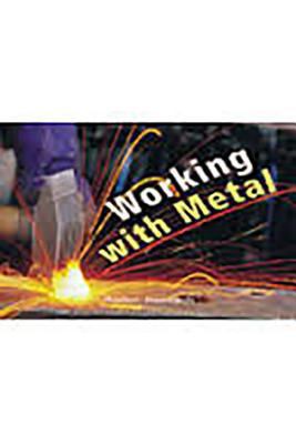 Rigby Focus Early Fluency: Leveled Reader Worki... 0757827098 Book Cover