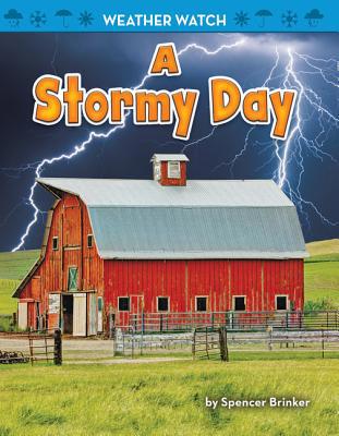 A Stormy Day 1642800007 Book Cover