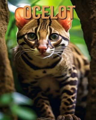 Ocelot: Learn About Ocelot and Enjoy Amazing Fa... B0DL8M85JL Book Cover