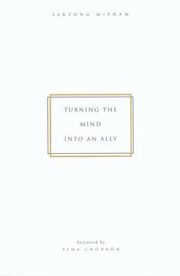 Turning the Mind Into an Ally 1573222062 Book Cover