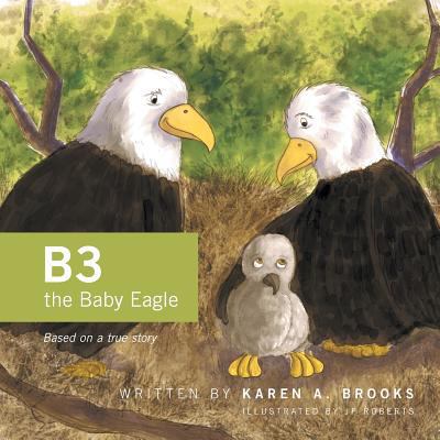 B3 the Baby Eagle: Based on a True Story 1460259483 Book Cover