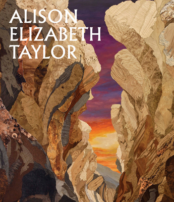 Alison Elizabeth Taylor: The Sum of It 1636810543 Book Cover