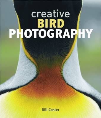 Creative Bird Photography 1847735096 Book Cover