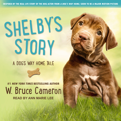 Shelby's Story: A Dog's Way Home Tale 1618037455 Book Cover