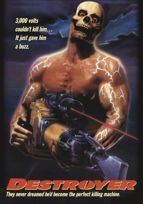 Destroyer Book Cover