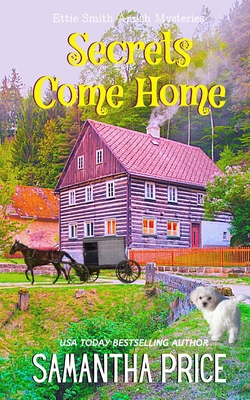 Secrets Come Home 1519504837 Book Cover