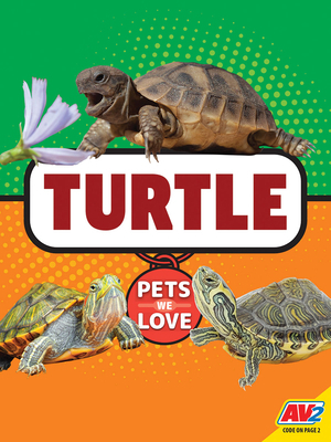 Turtle 179111928X Book Cover