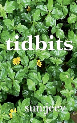 tidbits: from a vacation B0GQSDFZ56 Book Cover