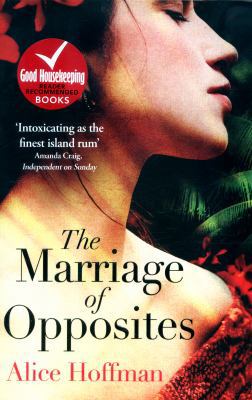 The Marriage of Opposites 147111211X Book Cover