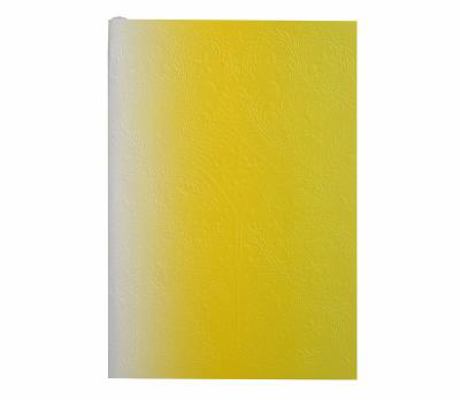 Christian LaCroix Neon Yellow A5 6" X 8" Ombre ... 0735350140 Book Cover